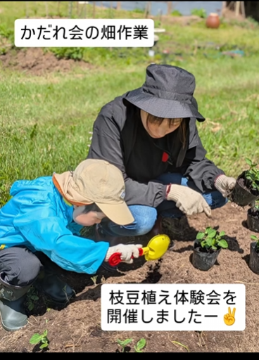活動の様子2