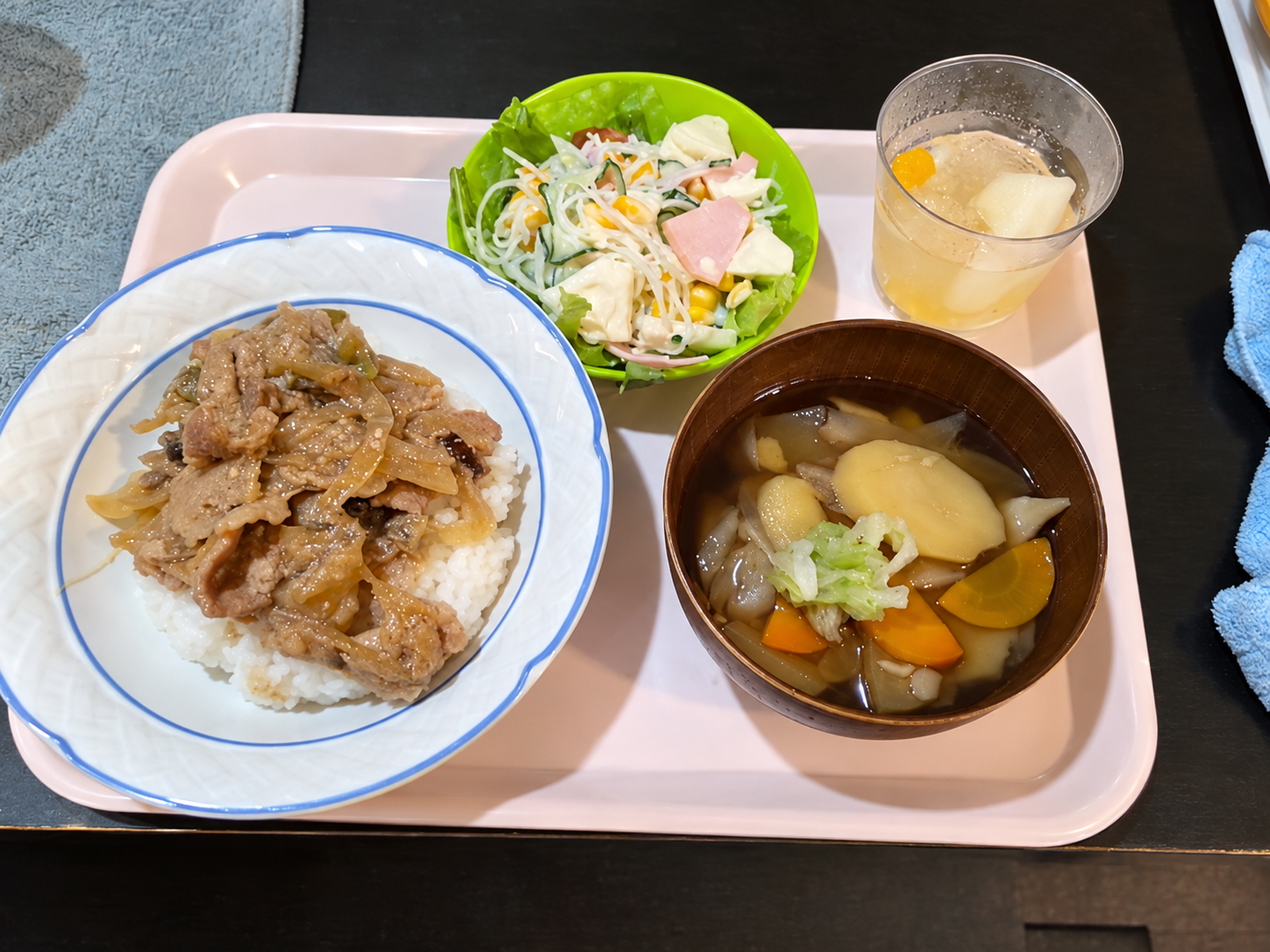 これまでの食事の一例：丼、サラダ、野菜スープ、デザート