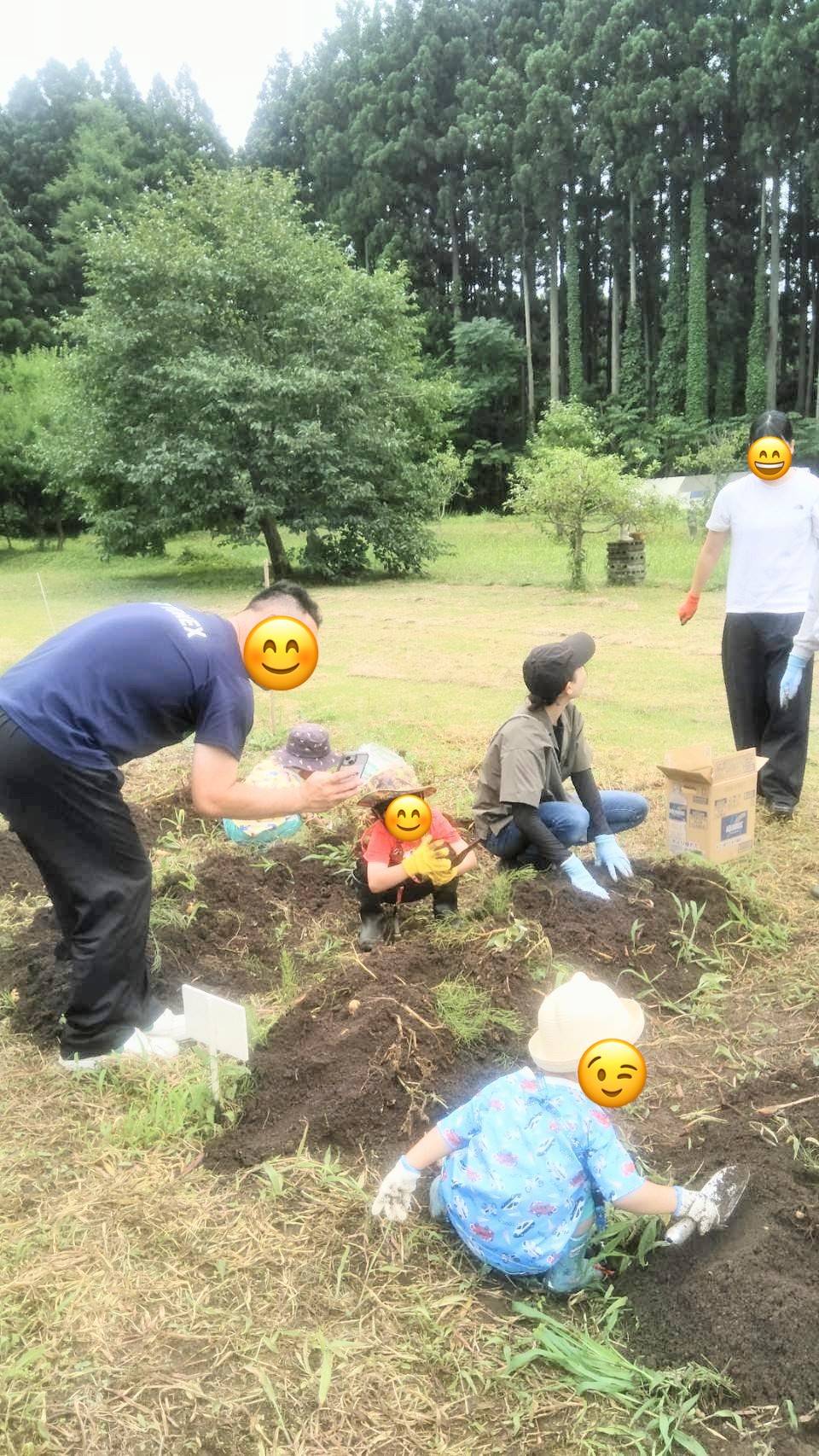 収穫祭でみんなで野菜を収穫している様子3